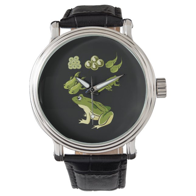 Biology - Frog Lifecycle Watch (Front)