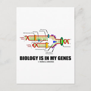 Biology Is In My Genes (DNA Replication) Postcard