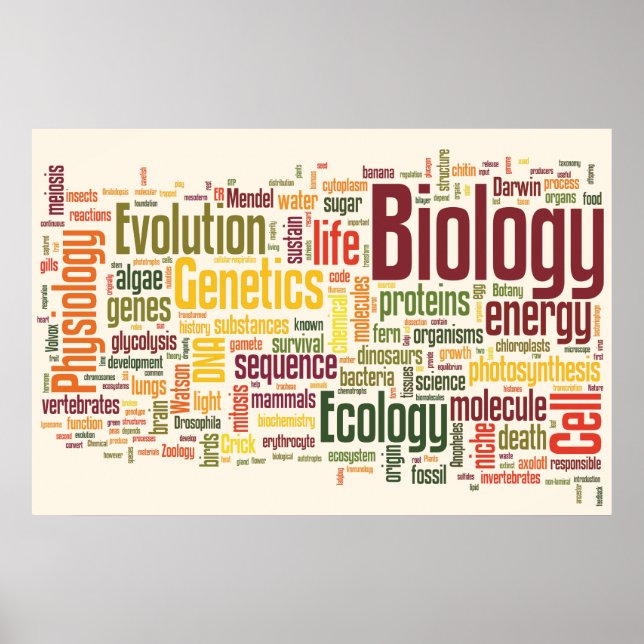 Biology Latte Wordle Poster (Front)