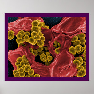 biology microbiology abstract for poster or canvas