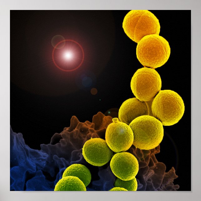 biology microbiology abstract for poster or canvas (Front)