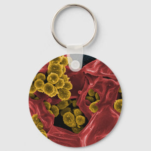 biology microbiology gifts for teachers students key ring