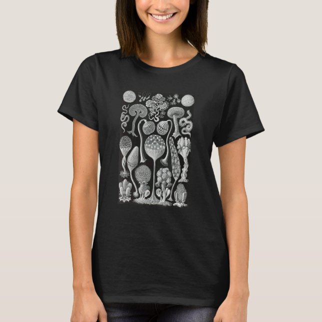 Biology Mycetozoa Slime Molds Scientific Haeckel T-Shirt (Front)