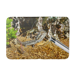 Biology Of A Baby Bearded Dragon Lizard, Bath Mat