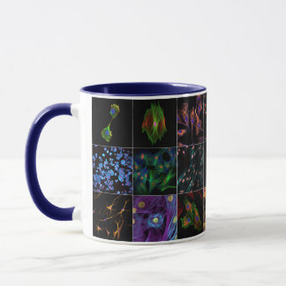 Biology on Mug