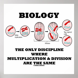 Biology Only Discipline Multiplication Division Poster
