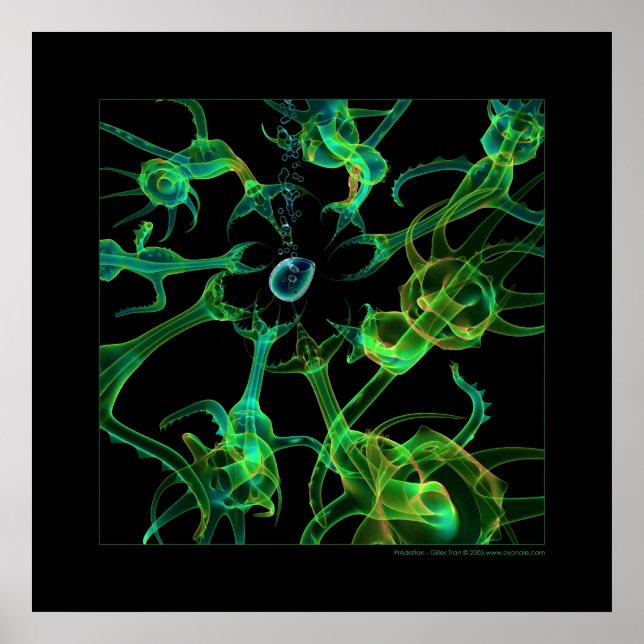 Biology: predation poster (Front)