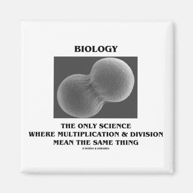 Biology Science Division Multiplication Same Thing Magnet (Front)