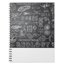 Biology Science Doodle in Grey Chalkboard