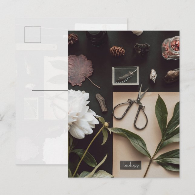 Biology science Flat Lay Academia Postcard (Front/Back)