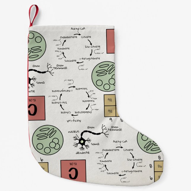 Biology Science Lab Teacher Holiday Cell School Small Christmas Stocking (Front)