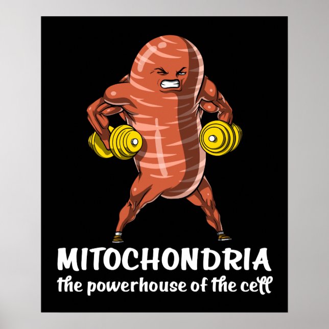 Biology Science Mitochondria Funny Joke Poster (Front)