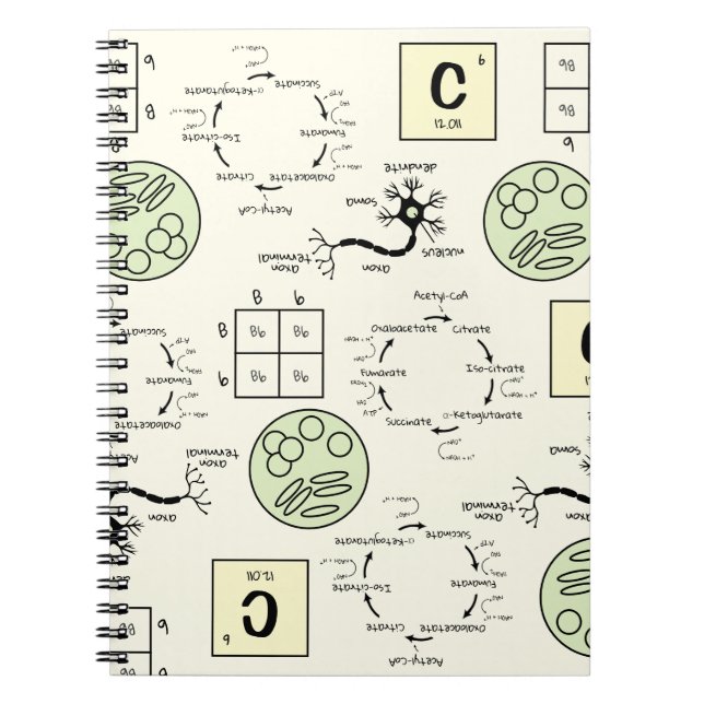 Biology Science Teacher Cell Genetics Neuron Nerd  Notebook (Front)