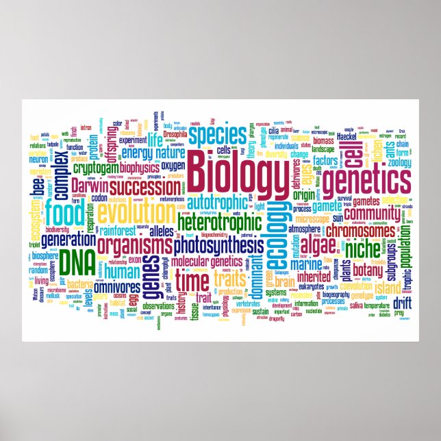 Biology Wordle No. 13 Poster (Front)
