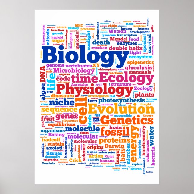 Biology Wordle No. 7 Poster (Front)