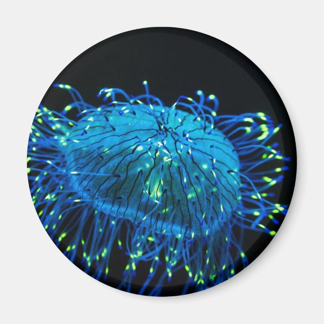 bioluminescent Jellyfish Magnet (Front)