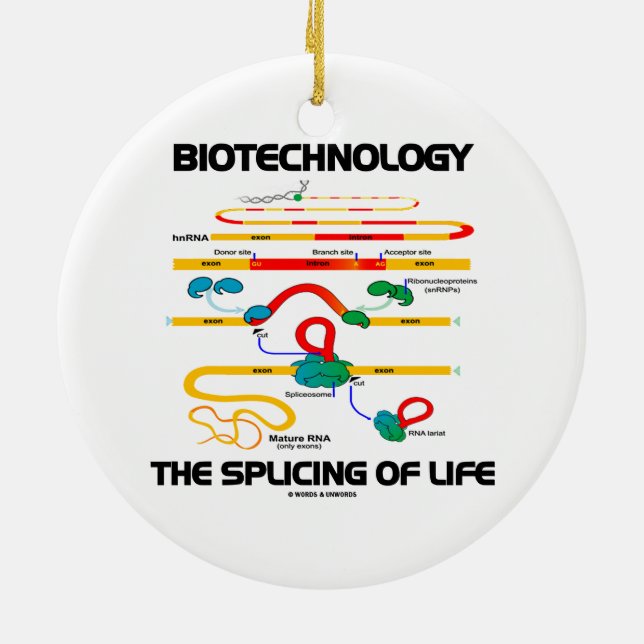 Biotechnology The Splicing Of Life (Mature RNA) Ceramic Tree Decoration (Back)