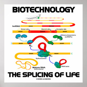 Biotechnology The Splicing Of Life (Mature RNA) Poster