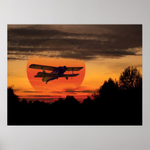 biplane poster