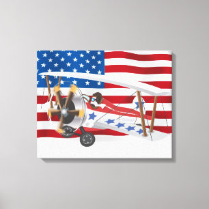 biplanes USA Canvas Print
