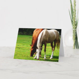 Biracial Horse Couple Card