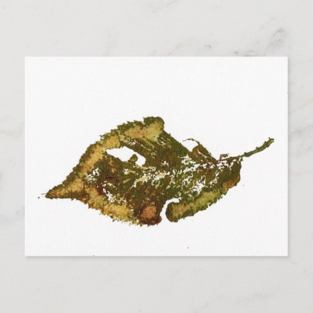 "Birch #2" Country Roads Postcard (Front)