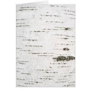 Birch bark