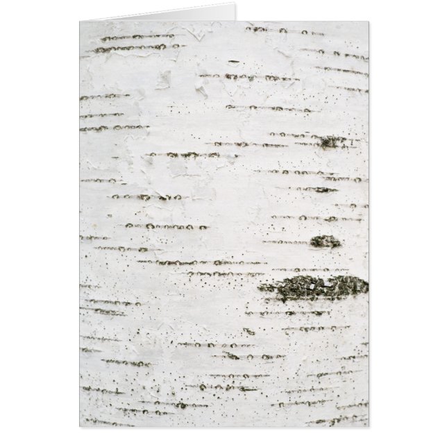 Birch bark (Front)