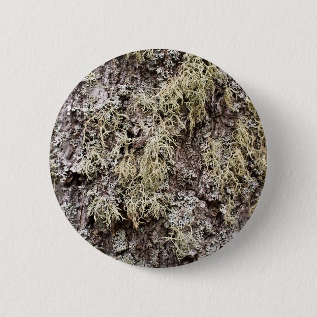 Birch bark 6 cm round badge (Front)