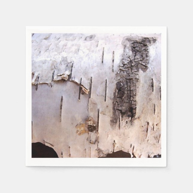 Birch Bark Napkin (Front)