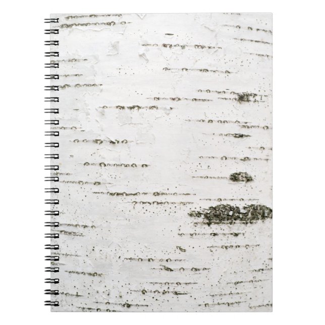 Birch bark notebook (Front)