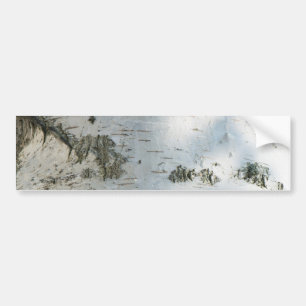 Birch bark pattern bumper sticker