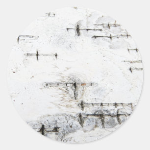 Birch bark pattern classic round sticker