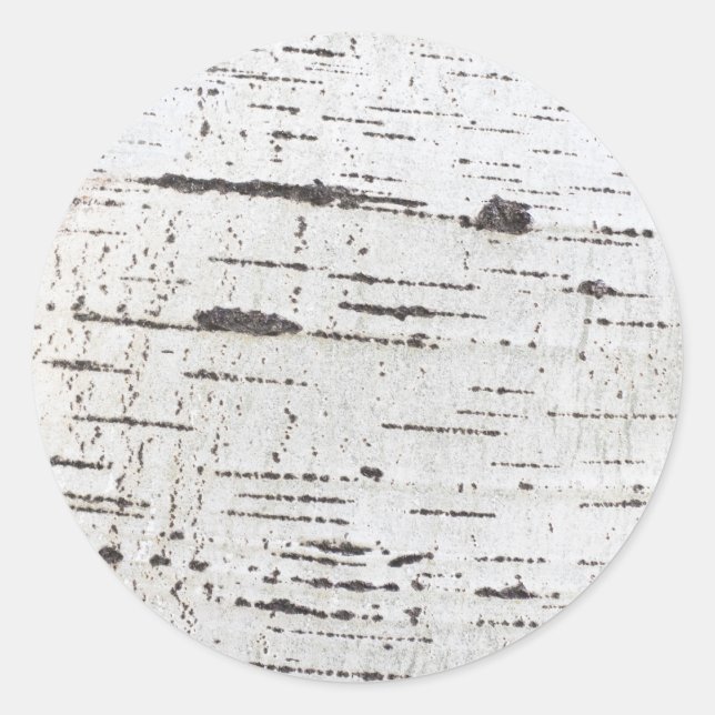Birch bark pattern classic round sticker (Front)