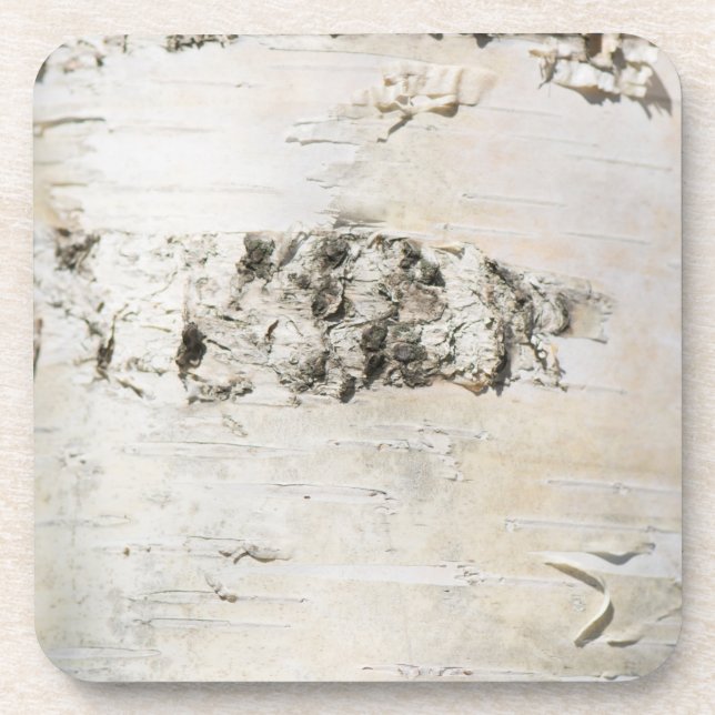Birch bark pattern coaster (Front)