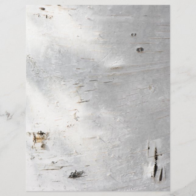 Birch bark pattern custom letterhead (Front)