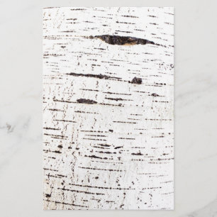 Birch bark pattern flyer