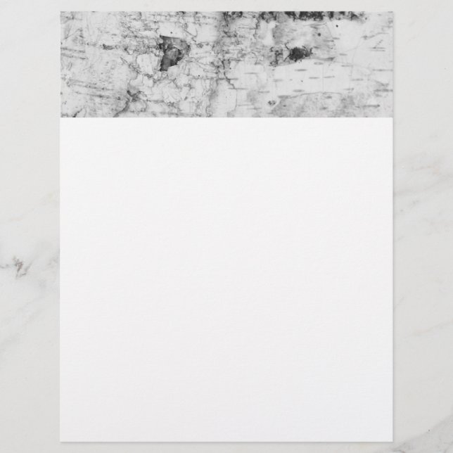 Birch bark pattern letterhead (Front)