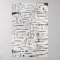 Birch bark pattern