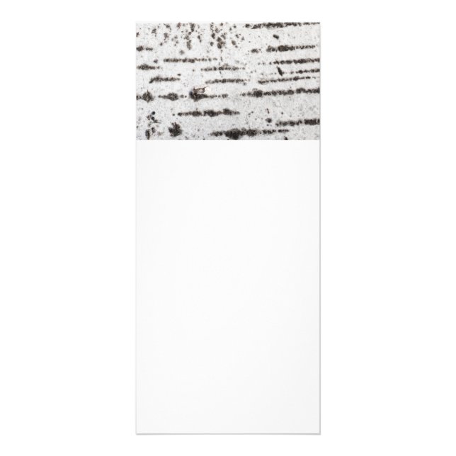 Birch bark pattern rack card (Front)
