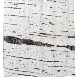 Birch bark pattern shower curtain