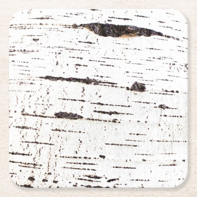 Birch bark pattern square paper coaster (Front)