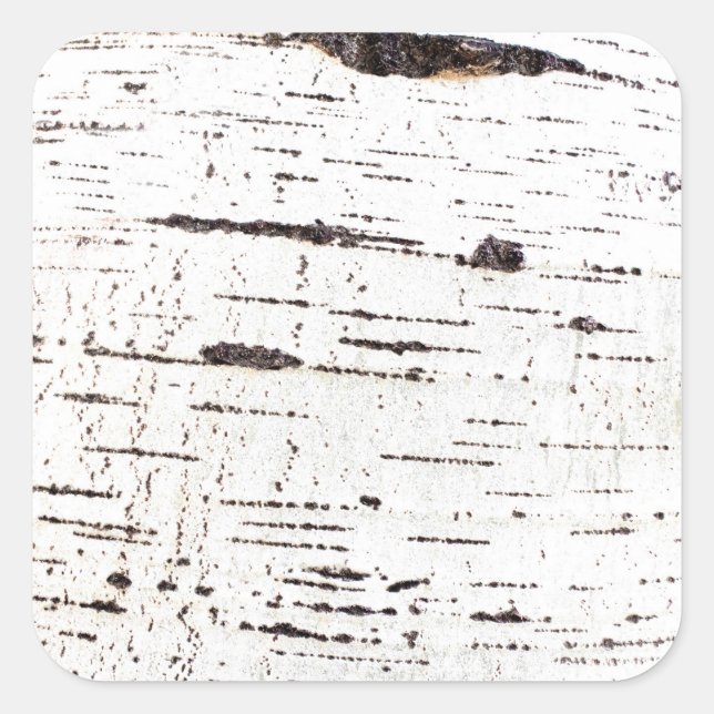 Birch bark pattern square sticker (Front)