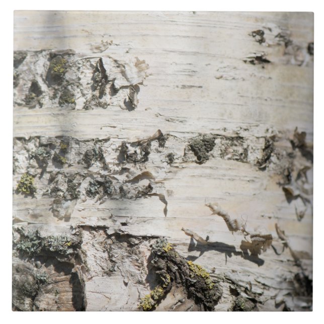 Birch bark pattern tile (Front)