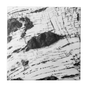 Birch bark pattern tile
