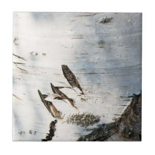 Birch bark pattern tile