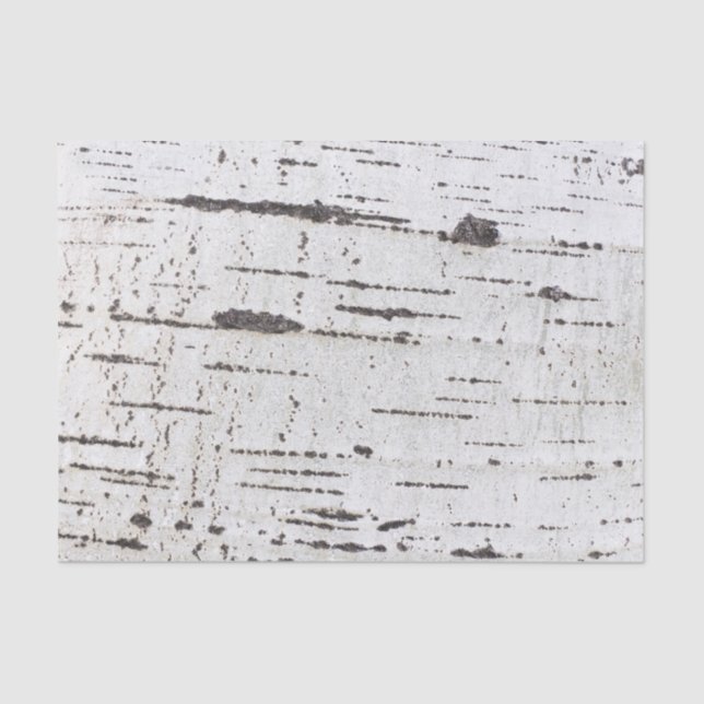 Birch bark pattern tissue paper (Front)