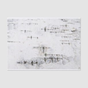 Birch bark pattern tissue paper