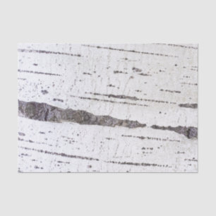 Birch bark pattern tissue paper