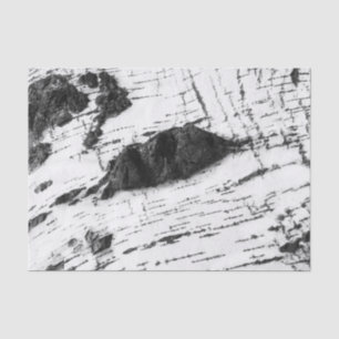 Birch bark pattern tissue paper